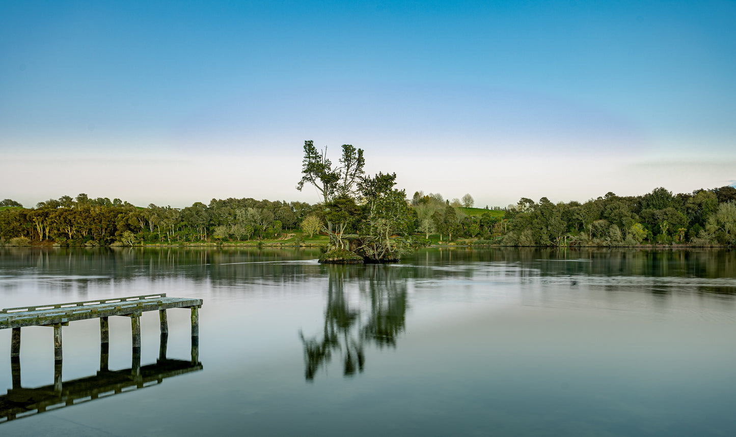 Tree Lake